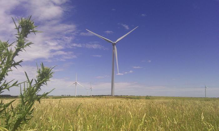 一定发(中国游)官方网站