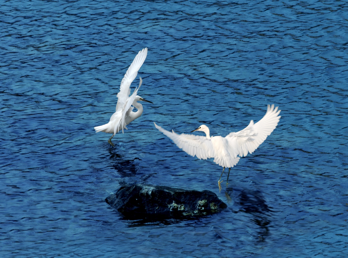 一定发(中国游)官方网站