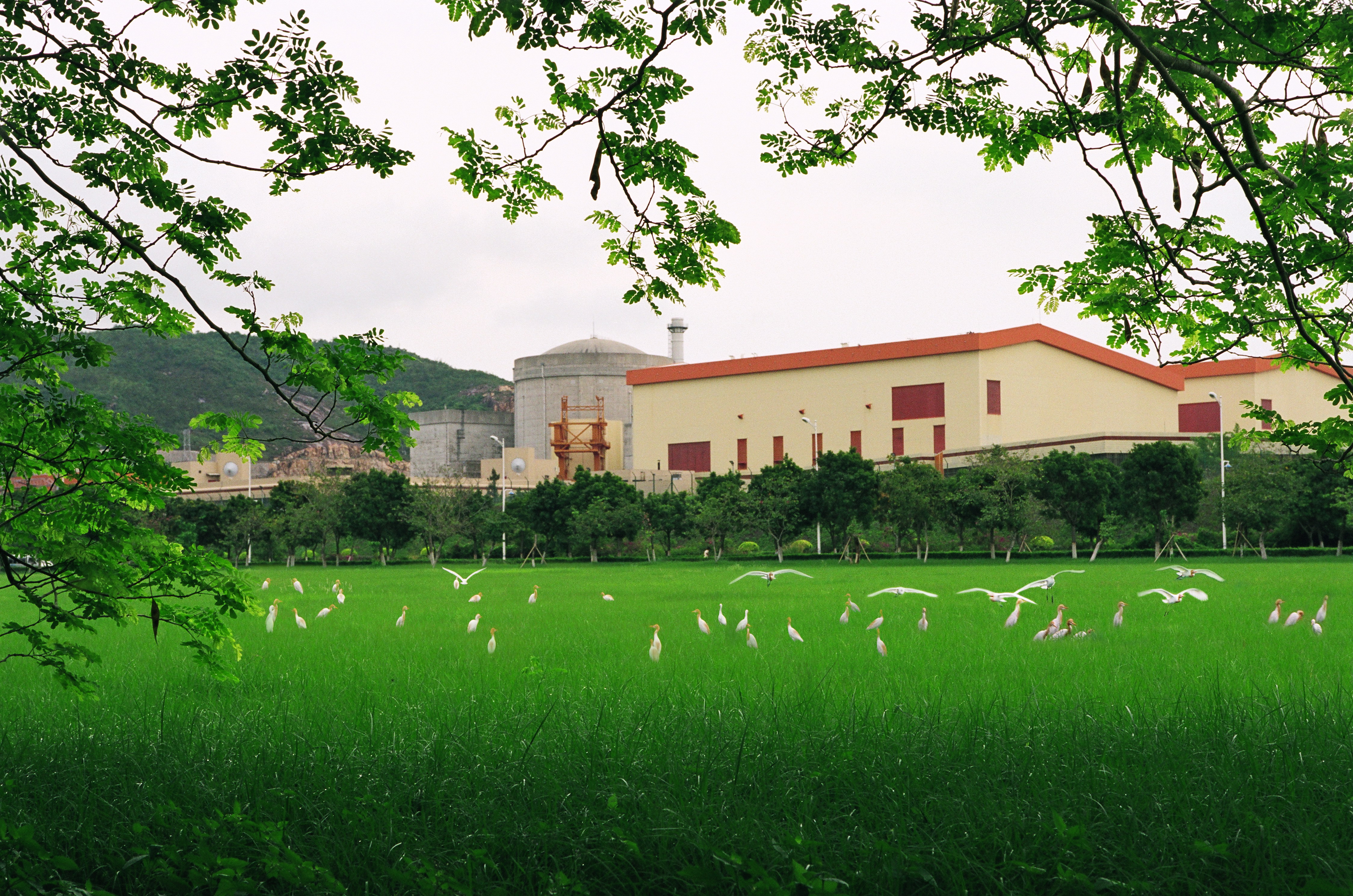 一定发(中国游)官方网站