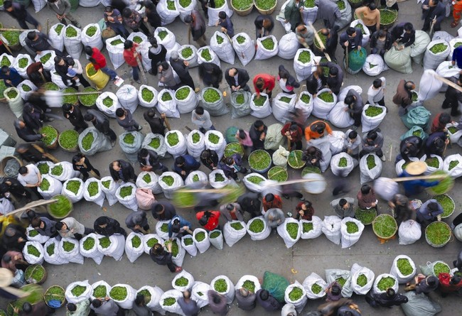 一定发(中国游)官方网站